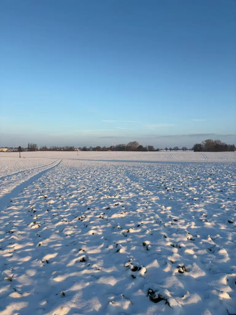 Verschneites Feld unter blauem Himmel, eine Reifenspur führt nach hinten links; am Horizont eine Baumreihe, einzelne Windräder und ein paar Häuser